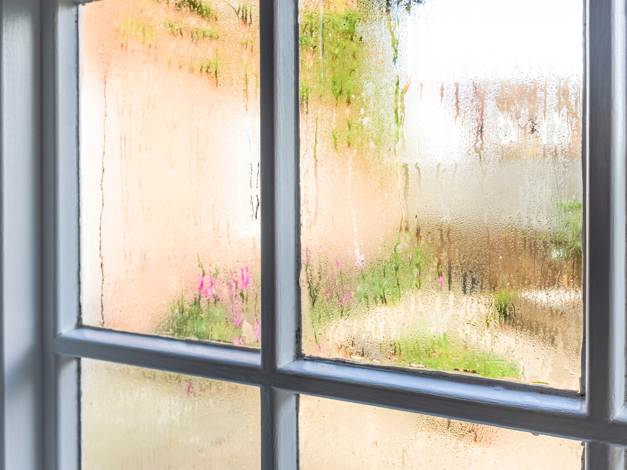 Window Condensation: Why It Happens and How to Stop It