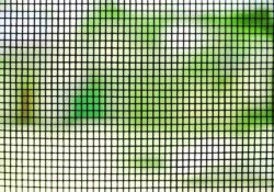 close up of a window screen