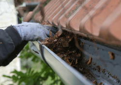 leaves in gutters without gutter guards