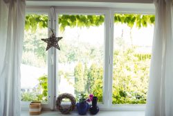 ENERGY STAR Window Rebates in Ontario
