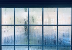 steamed up window from humidity and heat after sum 2026 03 11 00 50 46 utc