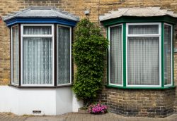 house windows with green vine growing in brickwork 2026 03 26 02 58 15 utc