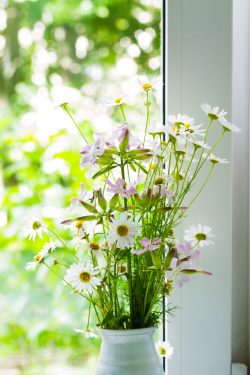 energy efficient windows