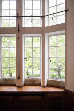 window panes and greenery 2026 09 21 21 24 04 utc